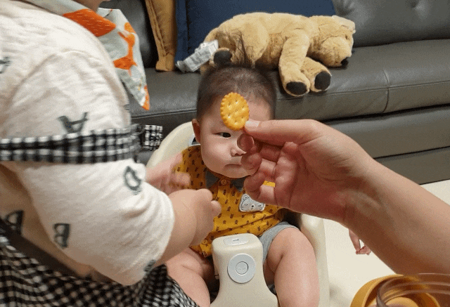  일상 (190D-196D) 앉아서 놀기, 생마멧 퓨레 냠냠