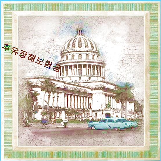 순수보장성보험  차분하게