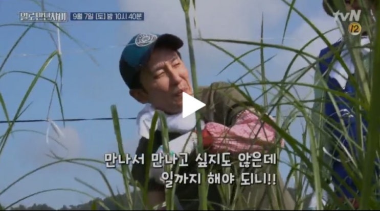  일로만난사이 재방송 시간 유희열 정재형 왕골수확 다시보기로 시청하세요