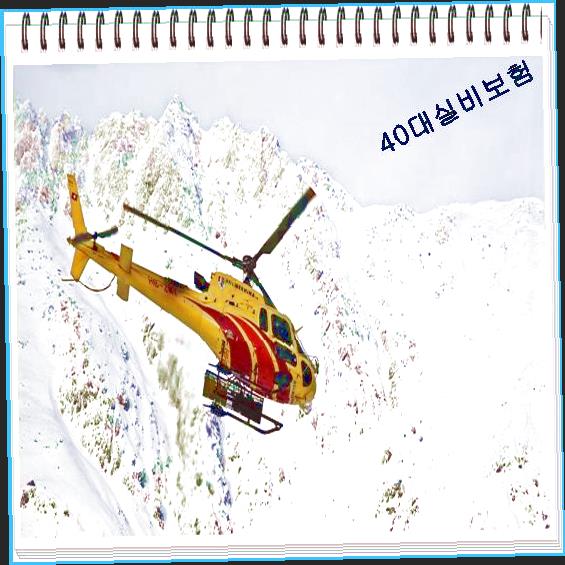  스노우보드보험  완벽분석