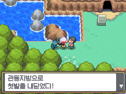 포켓몬스터 하트골드/소울실버 공략 12. [27번도로 - 동성폭포 - 26번도로 - 챔피언로드 - 석영고원 + 얻지 못했던 아이템  정리] : 네이버 블로그