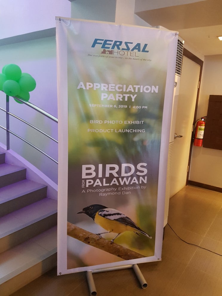  팔라완 새 사진 전시회 다녀왔어요. <Birds from Palawan - A Photography Exibition by Raymond Dan>