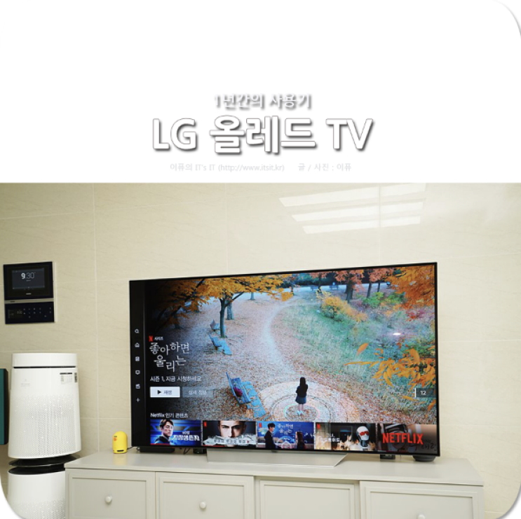  LG 올레드 TV 1년간 실사용기로 보는 TV 구매 필수 고려 요소