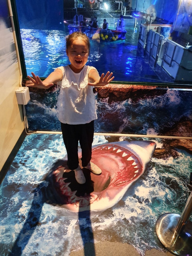 아마존 강: 제가 힘들게 배운 10가지 사실. : r/travel, image size:800x1067