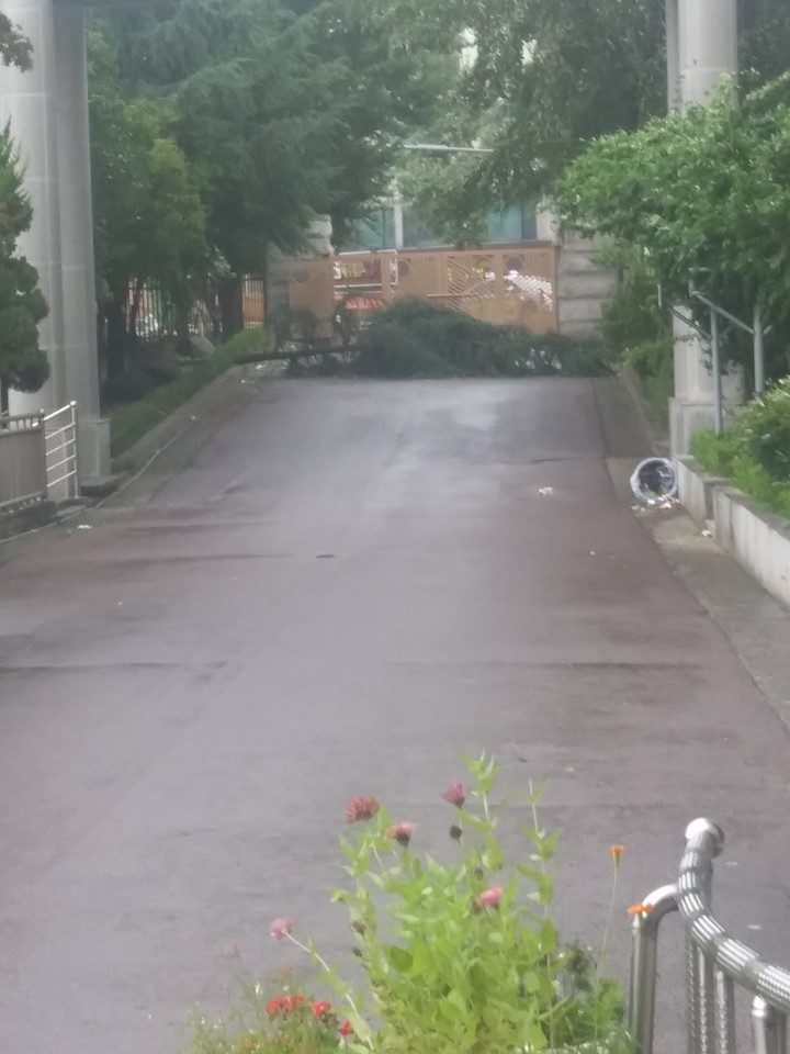 13호 태풍 '링링'도 막을수없는 우리의 합격면접!!