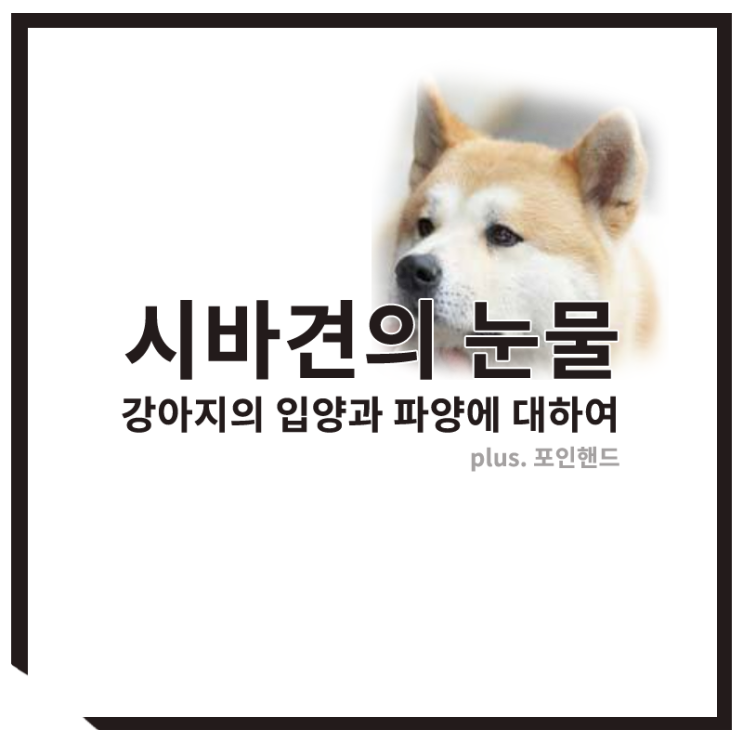  시바견의 눈물, 애견 입양과 강아지 파양에 관하여. 포인핸드 라도 쓰자.