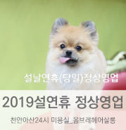 2019설날연휴정상운영_천안아산24시미용실(옴브레헤어살롱)