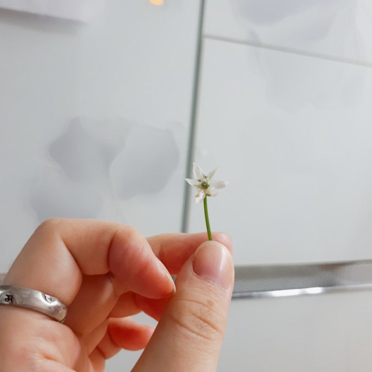  일상2019.09.01 ~ 09.08