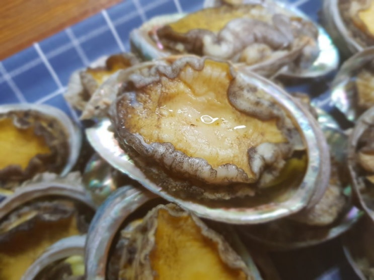  완도 노화도 보길도 전복 가을보양식으로 건강을 챙겨봅니다.