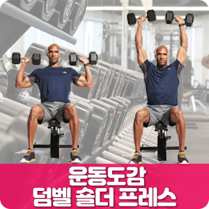  덤벨 숄더 프레스 - 운동도감