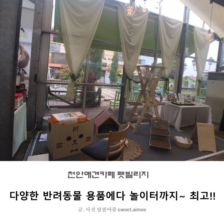 천안애견카페 애견용품전문점: 펫빌리지!!~ 아산 퍼스트빌리지에 오픈!!