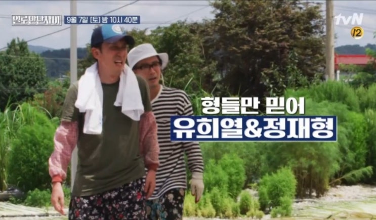 일로 만난 사이 유희열, 정재형 골골 형들과 유재석이 왕골을 수확했어요. 정재형 나이 근황 알아봤어요.