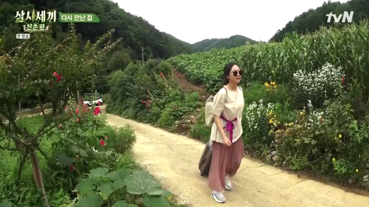  [흥미콘텐츠] 임시완, 염정아,손나은이 입은 바로 그 옷! "아바몰리" 2탄