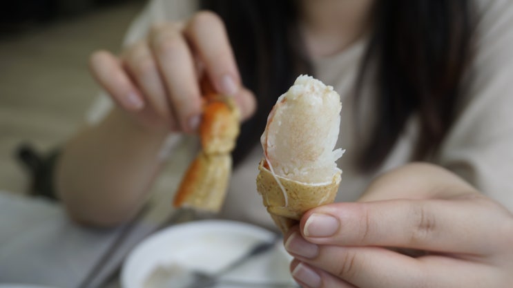  속초 대게 맛집 대포항 두남자 활어회: 가성비 좋고 꽉 찬 대게세트