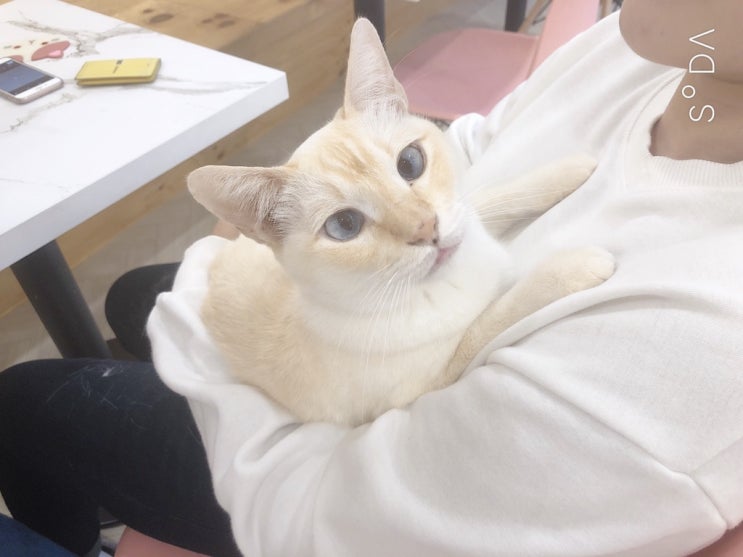  ️ 9월 7일 토요일 오픈완료