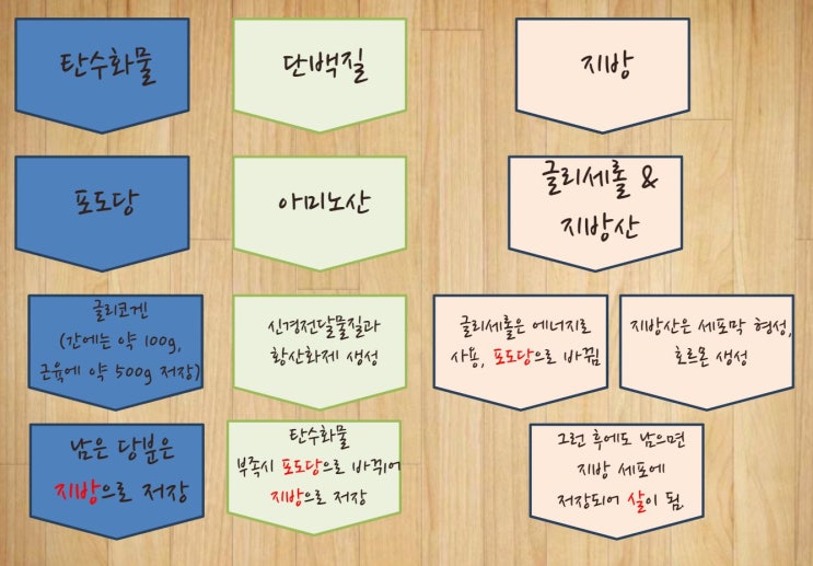  19-53. [소소한 근육과 슬기로운 식사가 필요합니다.] by 박영희