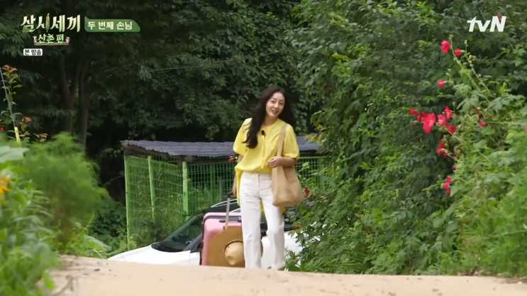  삼시세끼 산촌편 오나라 캐리어 만다리나덕이네?