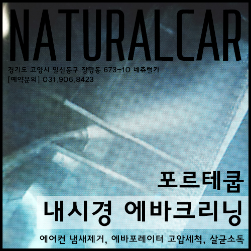 [일산 네츄럴카] 에어컨냄새제거 내시경에바크리닝 전해수 살균세척/에어컨 습기건조기 장착 및 에어컨필터 교환 : 포르테쿱