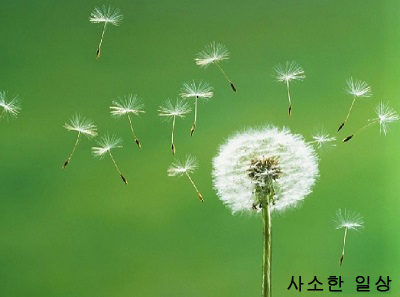  채무불이행자들의 현상-고려신용정보 대구중앙지사