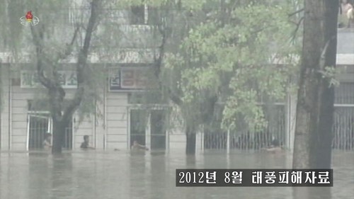 [북한] 태풍 ‘링링’의 피해가 최소화 되게 하소서