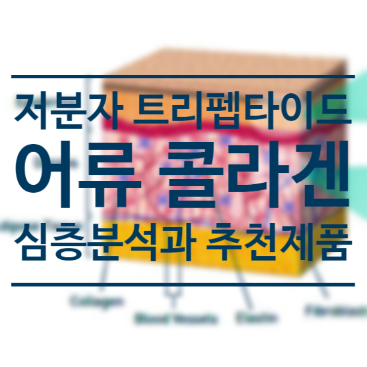  저분자 콜라겐 트리펩타이드 분석과 어류 콜라겐 가루 추천 제품 4가지 비교 - 네오셀 마린 콜라겐 / NEOCELL Marine Collagen