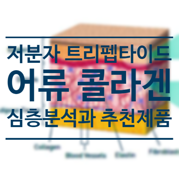 저분자 콜라겐 트리펩타이드 분석과 어류 콜라겐 가루 추천 제품 4가지 비교 - 네오셀 마린 콜라겐 / NEOCELL Marine Collagen