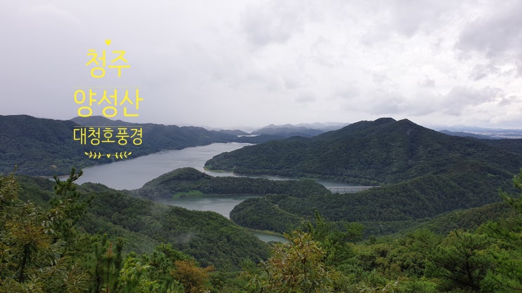 청주 양성산(301m) 우중산행 문의문화재단지 원점 산행코스
