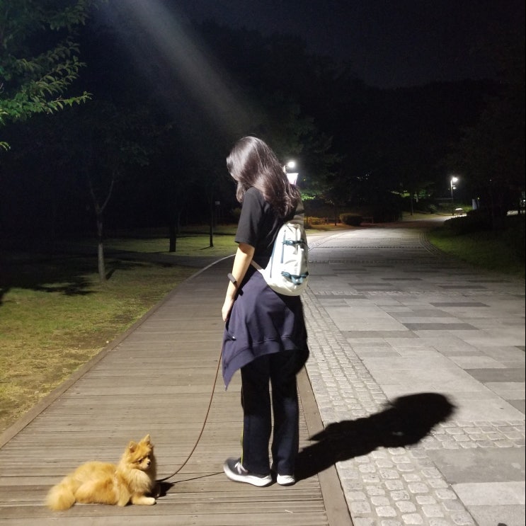  13호 태풍 링링 북상 예상 경로 매미 풍속 피해 대비