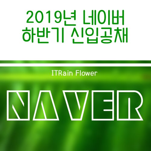  네이버 하반기 개발자 신입사원 공개채용