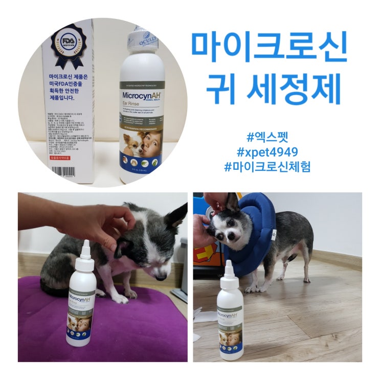  [강아지 귀 세정제] 엑스펫 마이크로신으로 귀 소독, 냄새 제거!