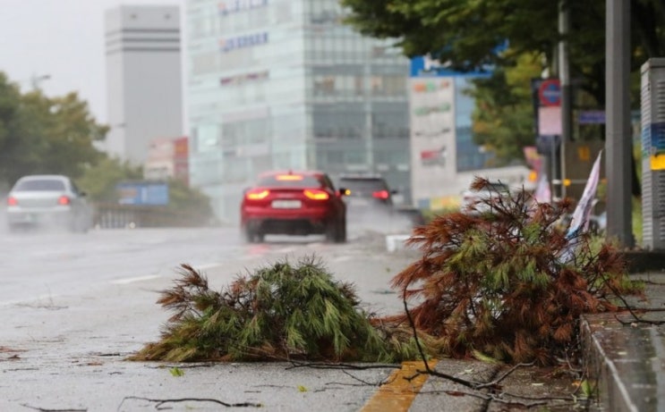 태풍 링링, 인명 피해 속보 10명 사상자 발생 3명 사망