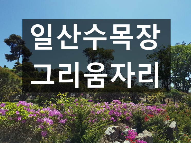  일산수목장 안전한 곳을 안내드려요~