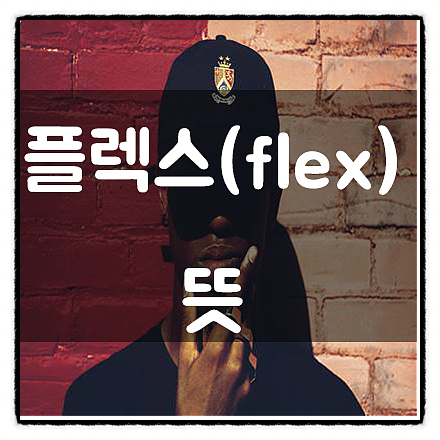  나도 몰랐다. 플렉스뜻