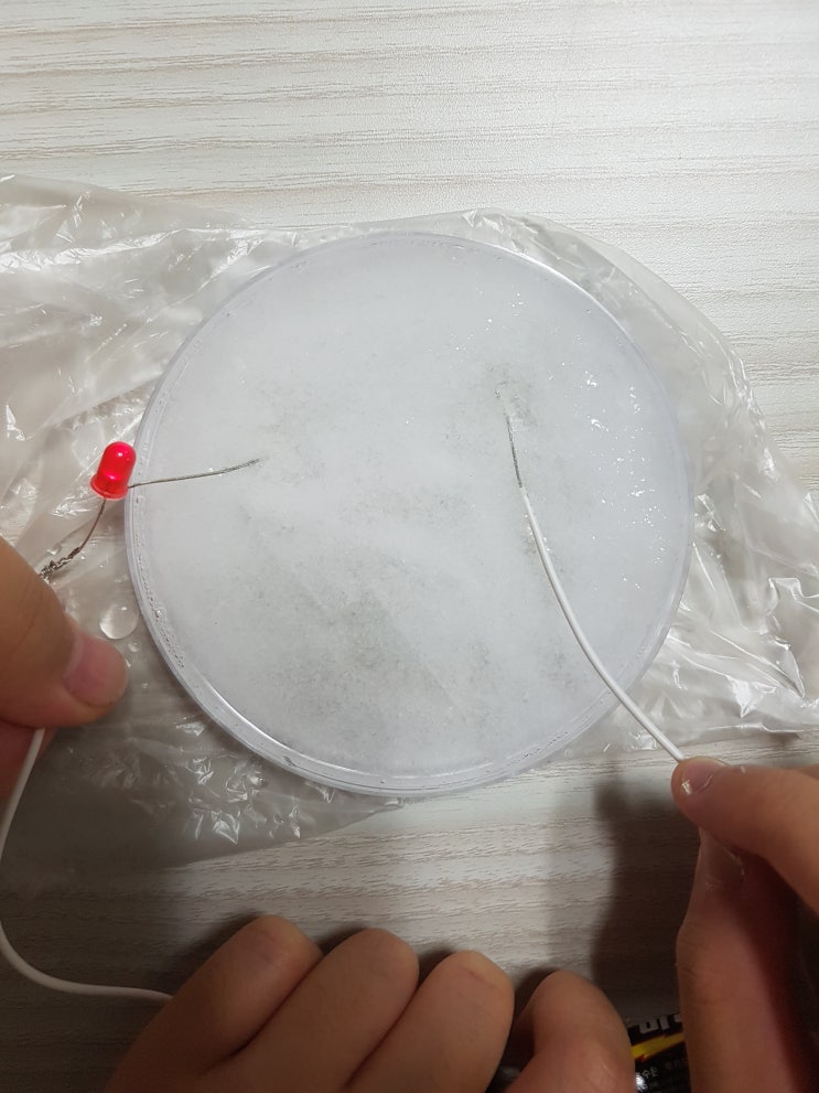  전해질 전기회로