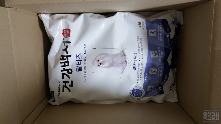  뉴트리나 건강백서 말티즈 6kg 사료 첫 구매