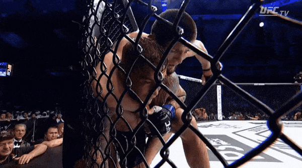 UFC 242 : 하빕 vs 포이리에 피니시 영상(gif) 및 뒷얘기