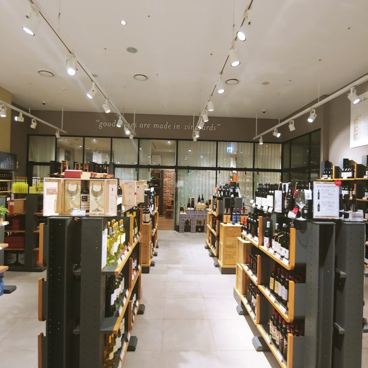  판교 현대백화점 와인샵 & 이탈리(Eataly) 와인샵