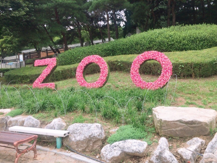  청주랜드 청주동물원 나들이 다녀왔어요~