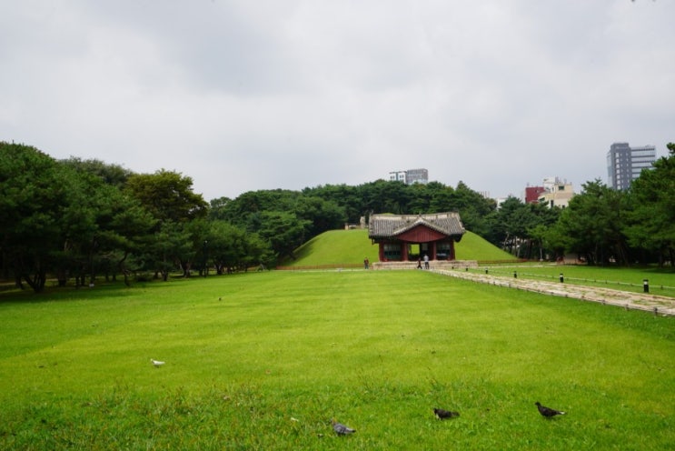  도심 속 산책하기 좋은 세계 유산 / 서울 선릉과 정릉