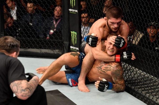  UFC 라이트급 타이틀전 하빕, 포이리에에 3라운드 서브미션 승