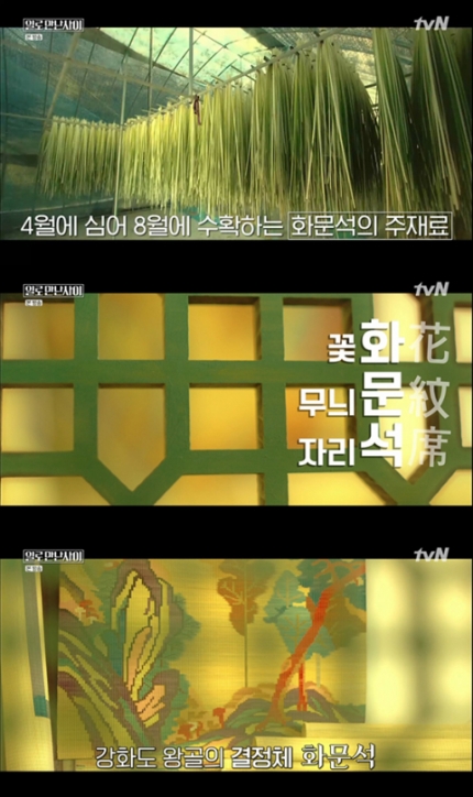 정재형·유희열이 수확한 화문석 주재료 왕골은 무엇? 정재형·유희열이 수확한 화문석 주재료 왕골은 무엇?