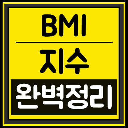  [BMI지수 계산하기] 초간단 총정리!
