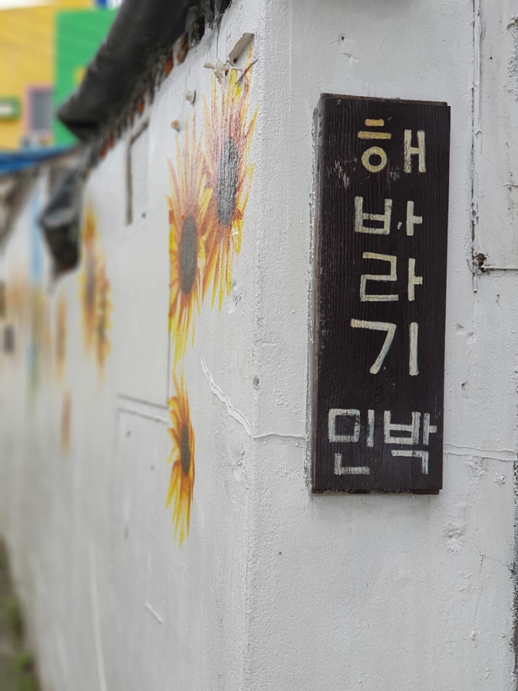 송정민박]연애의맛,이필모ㆍ서수연편 촬영해바라기민박집왔어요~^^