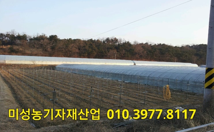  (연동형)비닐하우스 포도비가림 딸기하우스보온덮게 시공사진