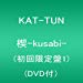 [J-pop : KAT-TUN] 僕なりの恋