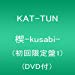 [J-pop : KAT-TUN] 僕なりの恋