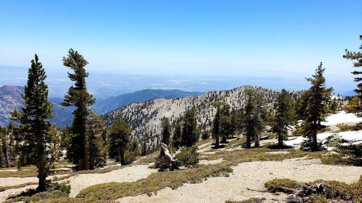  [미국 등산] 마운트 샌 안토니오 `볼디'_ Mount San Antonio `Mt. Baldy' [Six-pack of peaks challenge #1]