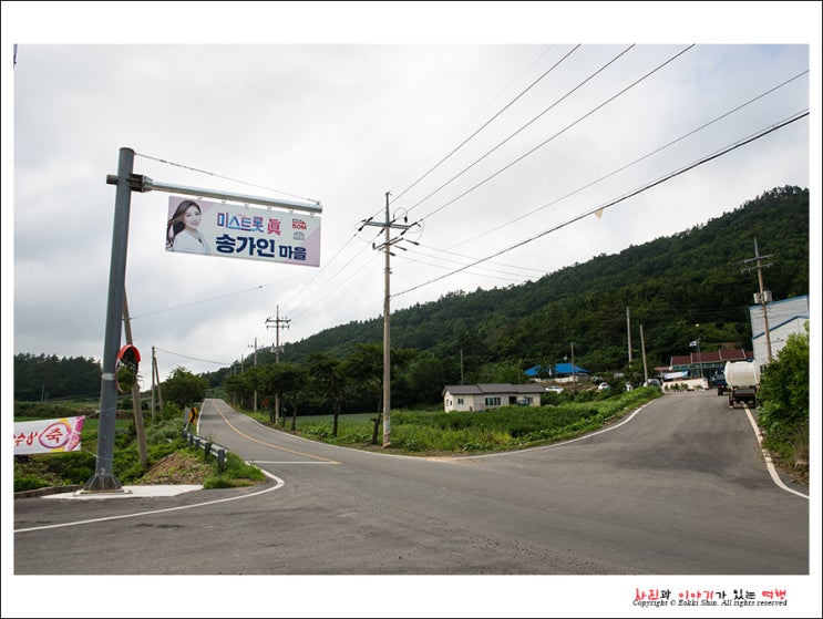 [전남 진도] 송가인 마을에 가다
