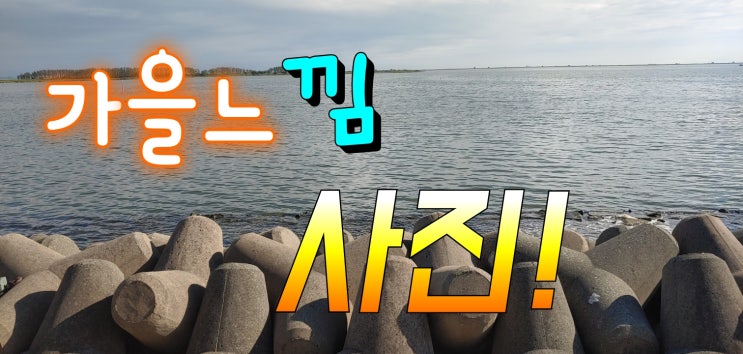  가을은 가을답게~! 가을 사진 모음!!