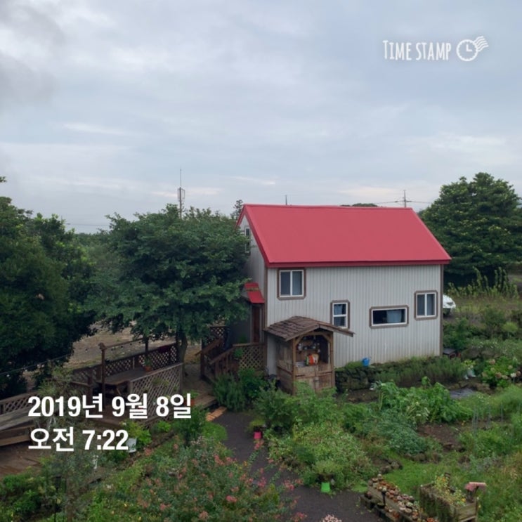 9/8 미라클모닝 #316